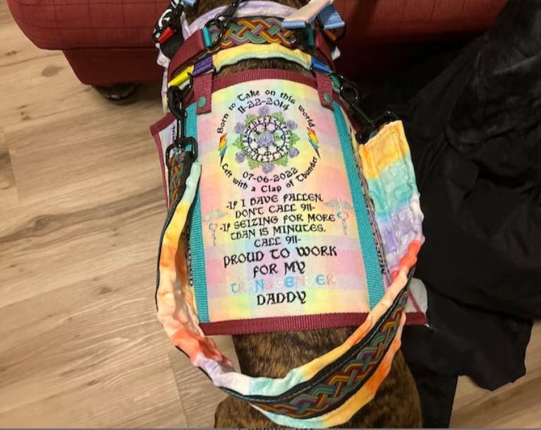 Thumbnail: Standard Y-Front Harness set with Cape (Fleece)