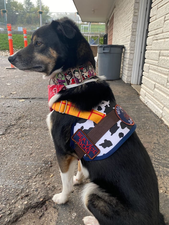 Thumbnail: The "Big Lou" Hybrid Harness