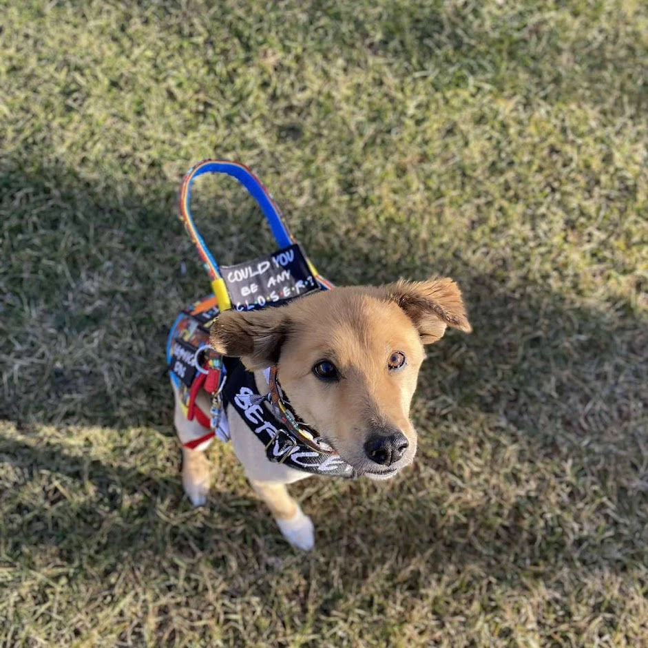 Thumbnail: Counter Balance Handle (Semi-Rigid)