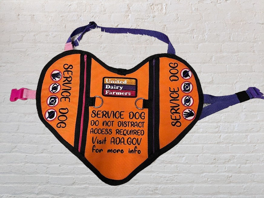 Thumbnail: Service Dog Vest