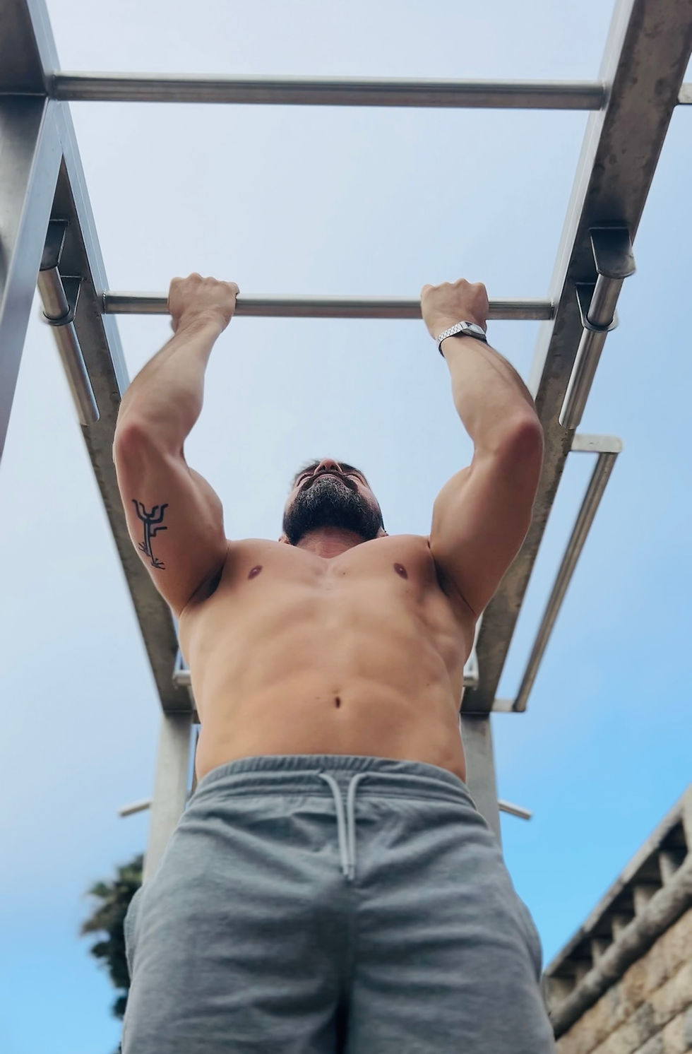 pull up exercise