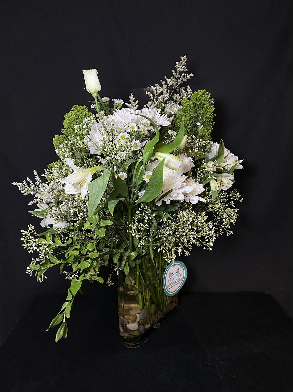 Miniatura: Gracious 