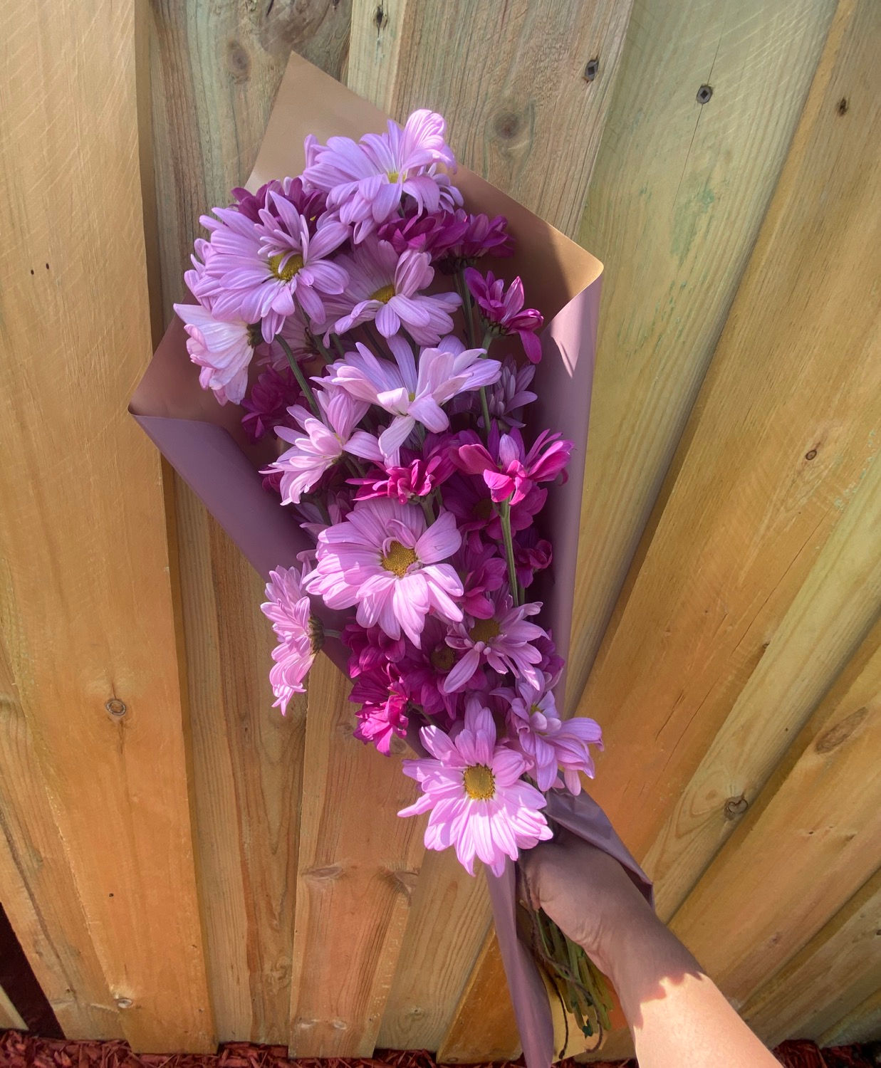 Mauve 