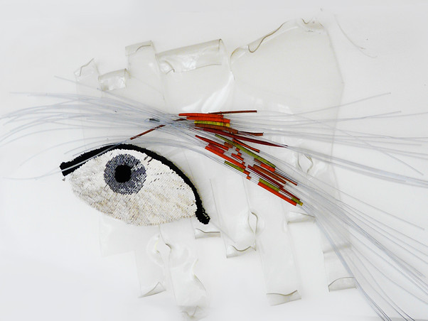 plexi_oeil.jpg