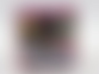 Trading Arts Mini: Terra Branford