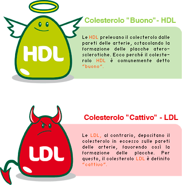 colesterolo LDL e HDL