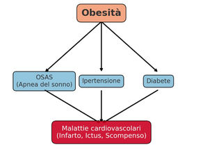 Obesità e salute cardiovascolare: un legame pericoloso che va oltre la bilancia