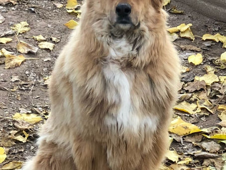 My Boy. The King. The Chonch. The fuel to my Dream... 