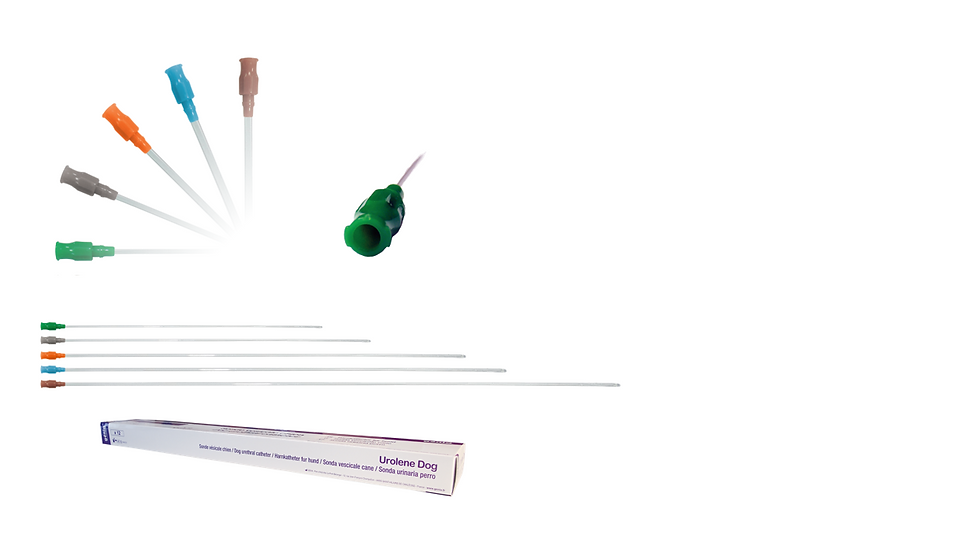 Urolene Dog catheters.PNG
