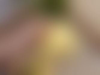 Mango Coconut Ice-Cream