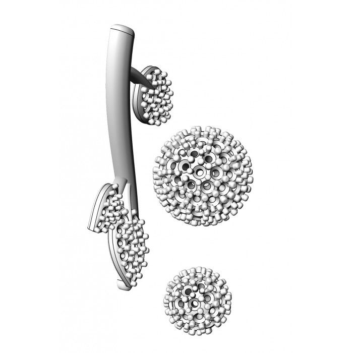 Miniatura: Kolczyki złote JM 110 975