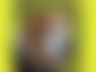 Meet the Akita Basset