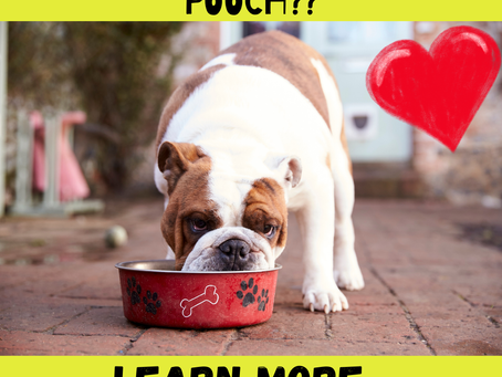 Basic Pooch Nutrition