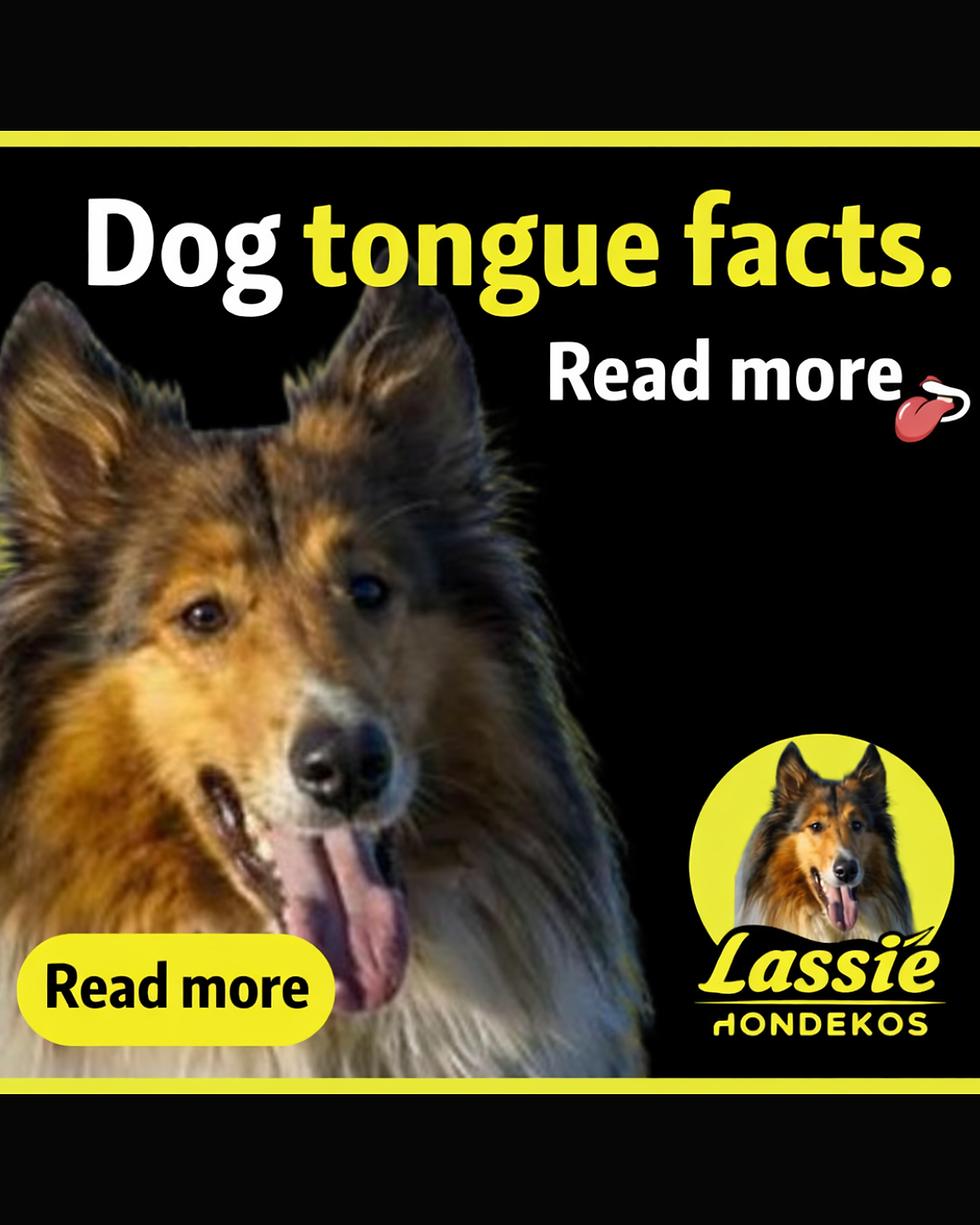 How well do you know your Pooches tongue