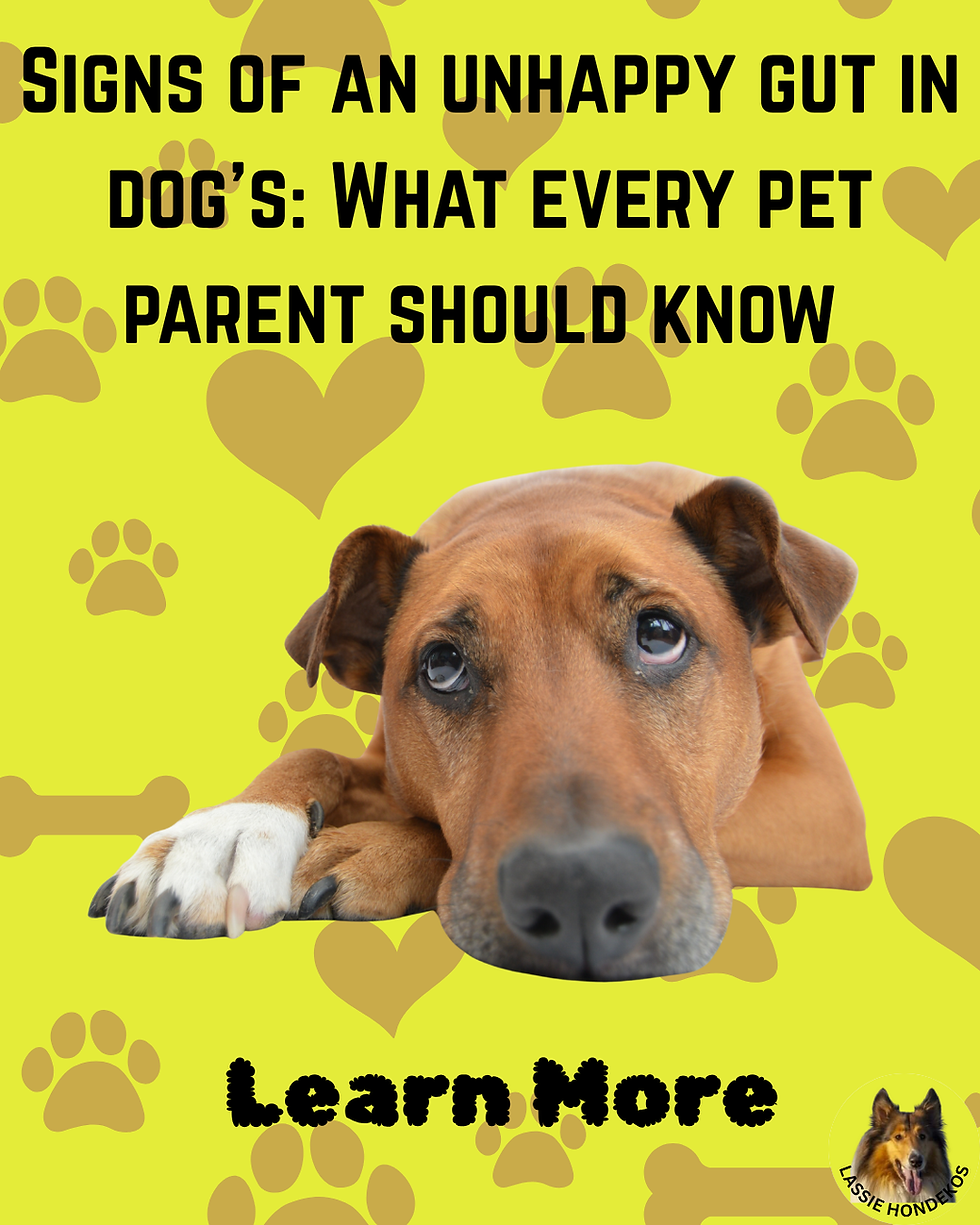 Yo0ur Pooches Gut health.