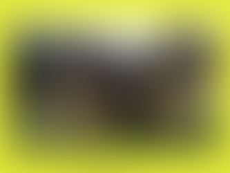 Meet the Alaskan Shepherd