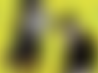 Cat food vs Dog food. What is the differences?