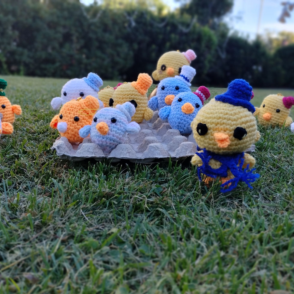 Crochet Chicken Sunggies