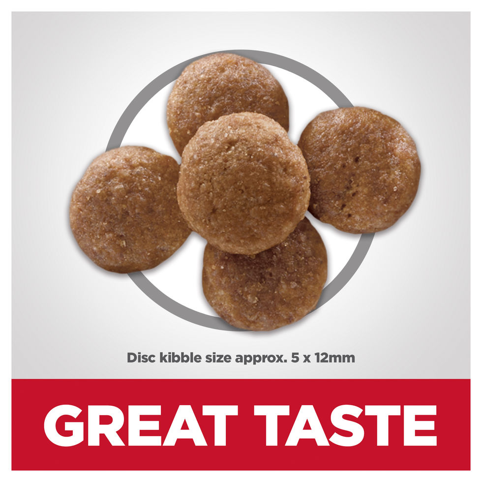 Hill’s Science Diet Adult Dog (1-6) Perfect Digestion Kibble