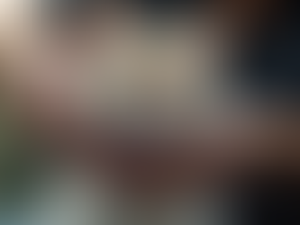 Why Professional Cat Grooming Matters