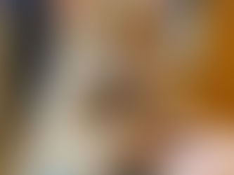 A cat about to have their nails trimmed