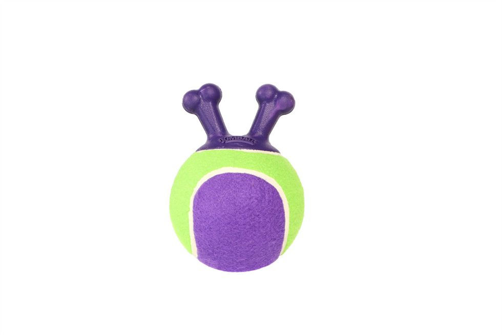 GiGwi Jumball Tennis Ball Toy
