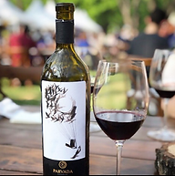 Parvada Winery Mexico.png