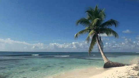 Beach 1 GIF.gif