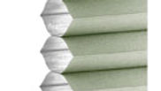 PLS220-015 Avocado
