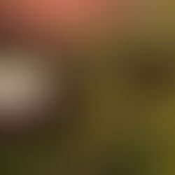 Redefining Luxury Glamping in Southeast Asia