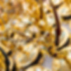 NATAS - National Capital Emmy Awards Image