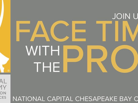 Register for Face Time with the Pros!
