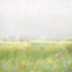 0748 After the picnic