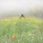 0803 Arthur and Darcy