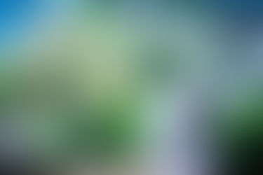 Shed Uses - 45 Unique Ways to Use a Shed