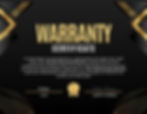 Gold Luxury Elegant Achievement Certificate (1).jpg