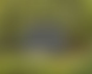 Urban Shed | Modern Backyard Storage