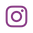 insta icon