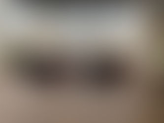 Unity in Action: The Annual Unit Convention