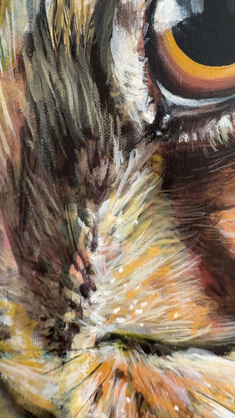 Thumbnail: Bright Eyes