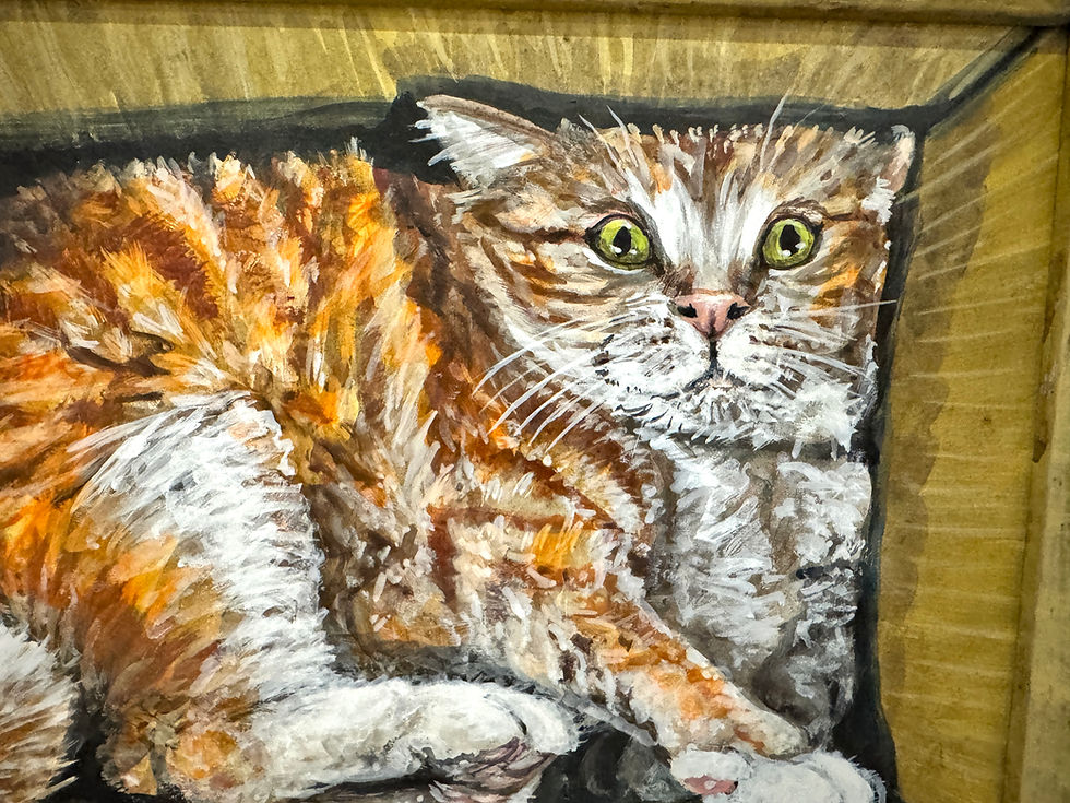 Thumbnail: Cat In A Box #7
