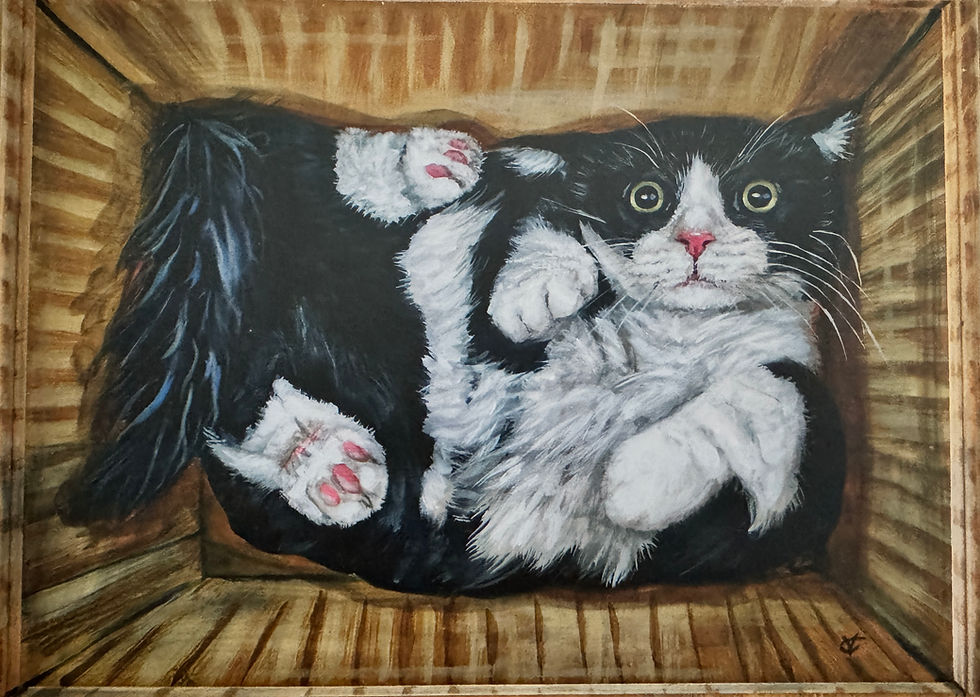 Thumbnail: Cat In A Box #16