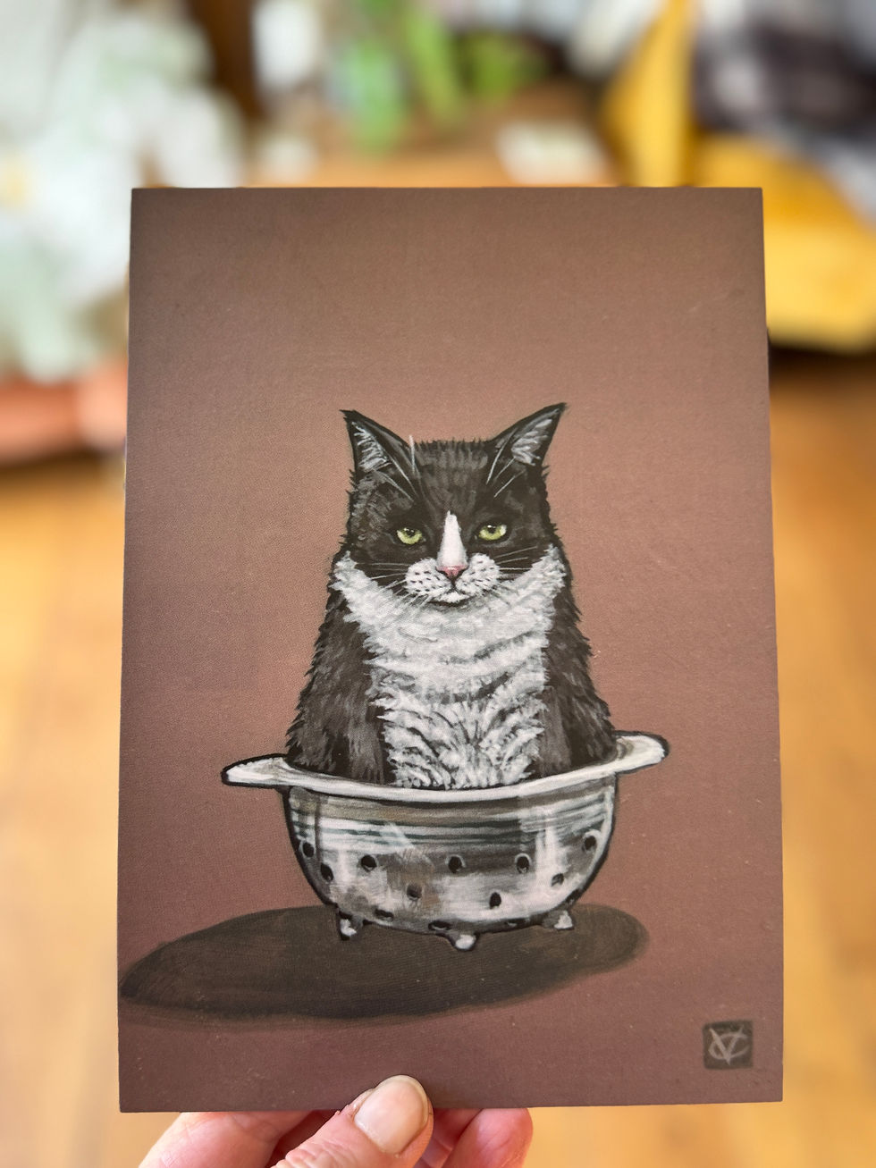 Thumbnail: Cat In A colander
