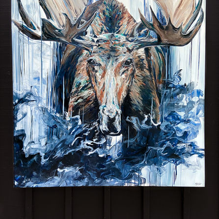 moose 2.JPG