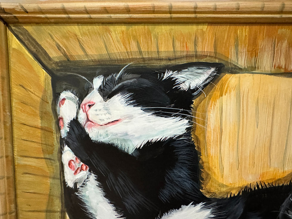 Thumbnail: Cat In A Box #9