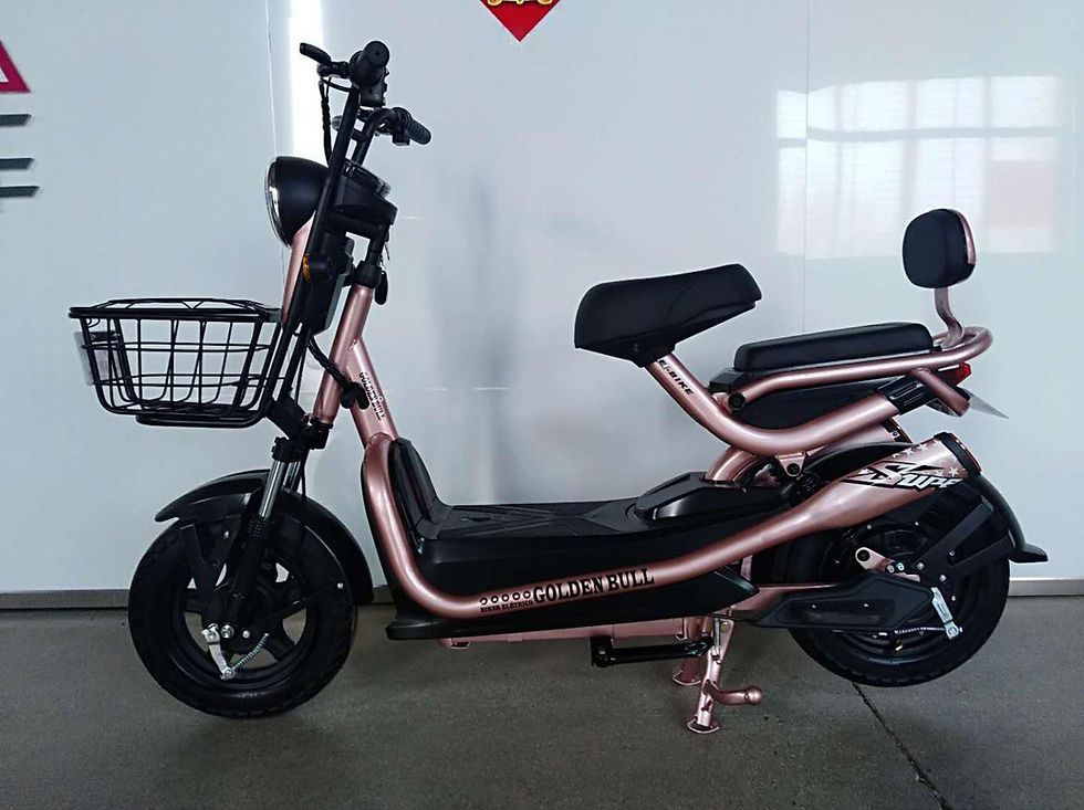 Miniatura: Scooter XF-001