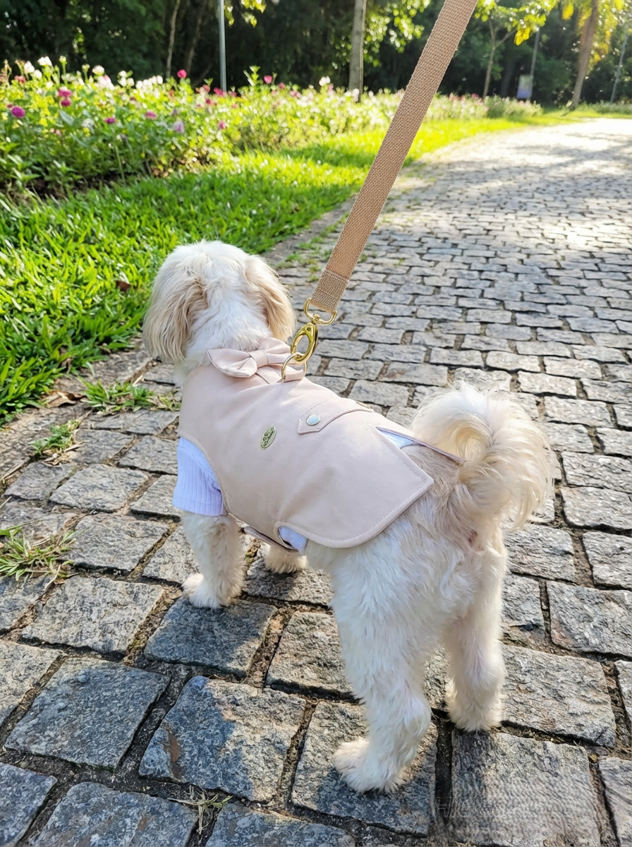 Miniatura: Terninho bege c/ blusinha branca