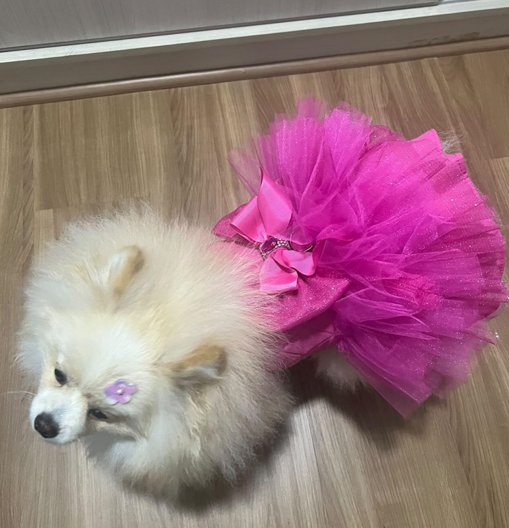 Miniatura: Vestido Barbie rosa Pink com Guia