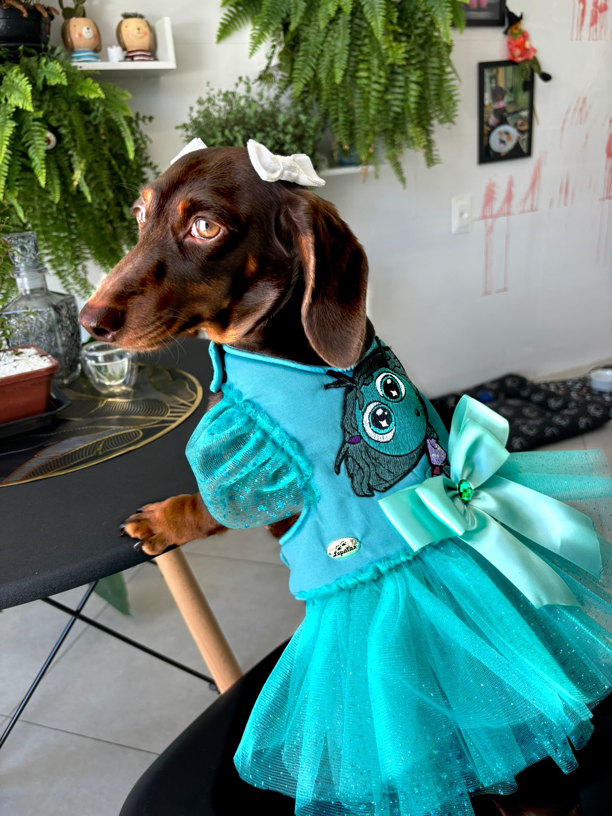 Vestido Divertidamente com guia (Inveja)