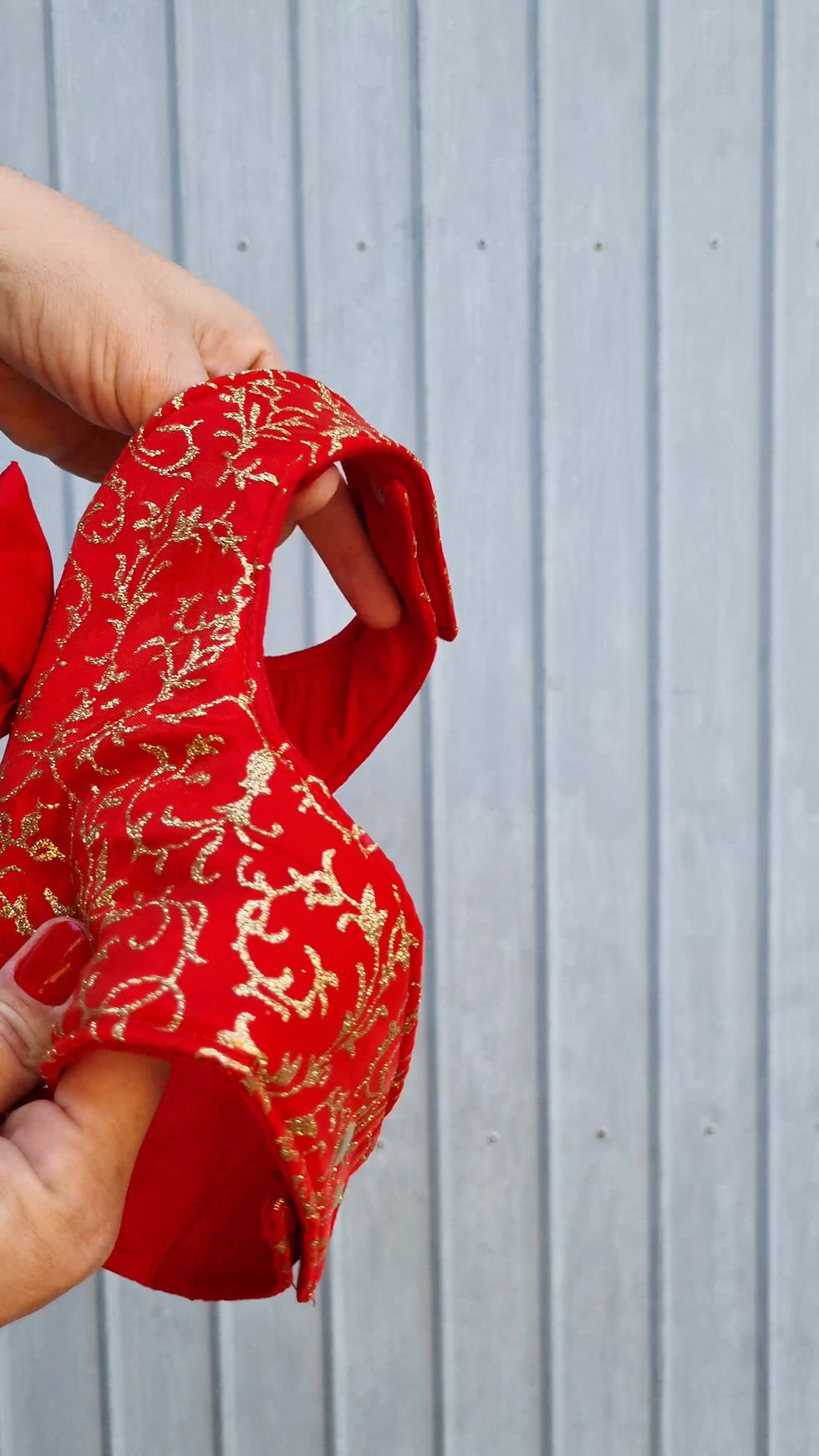 Miniatura: Peitoral vermelho com guia